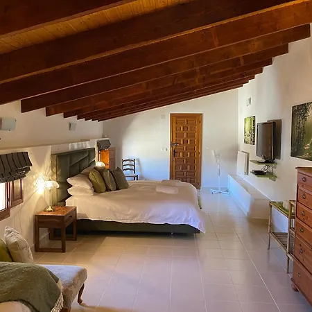 Grapevine Manor Monóvar