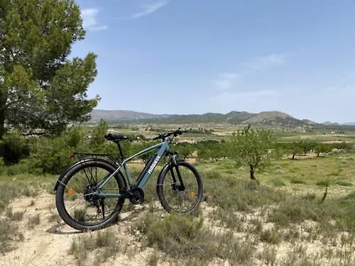 Летний дом Grapevine Manor